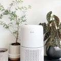 Are air purifiers worth having?